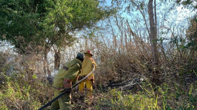 Medio Ambiente logró disminuir el siniestro porque se trazaron líneas de cortafuego para eliminar el combustible existente