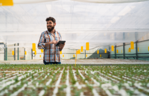 Consejos financieros prácticos para jefes de hogar