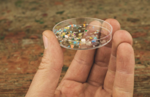 Cada vez hay más plástico en el cerebro, revela estudio