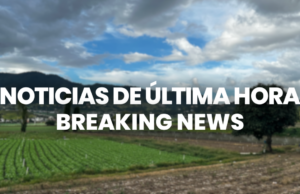 «Celebración del Día Internacional del Periodista»