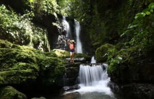 Descubre el Corazón Verde del Mundo en la Amazonía Ecuatoriana