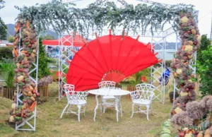 Origen de la Colonia Japonesa en Constanza