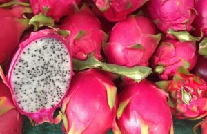 Estamos en temporada de Pitahaya