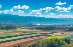 Constanza: Capital Hortícola de la República Dominicana.