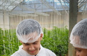 «Sweet Palermo: Una Experiencia Agro – Gastronómica que Redefine el Sabor en Constanza»