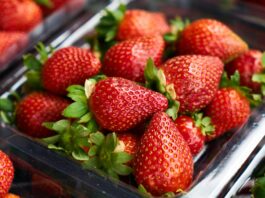 Close-up of ripe strawberries in a clear plastic container, showcasing vibrant freshness and juicy appeal.