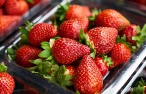 Las Fresas: Una Historia Roja y Dulce Close-up of ripe strawberries in a clear plastic container, showcasing vibrant freshness and juicy appeal.