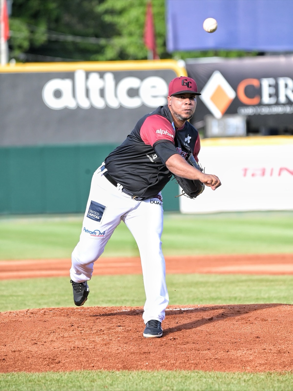 Gigantes y Leones Dividen Honores en Béisbol Profesional Dominicano