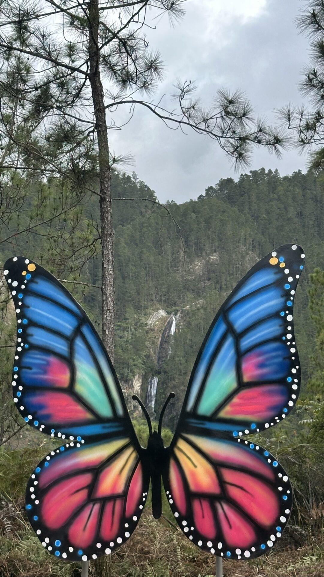 HITCA inaugura el Mirador Fotográfico “El Vuelo de la Mariposa” en la carretera al Salto de Aguas Blancas